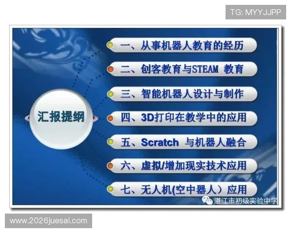 深入探讨世界杯各州名额分配原则的制定依据与实际操作流程